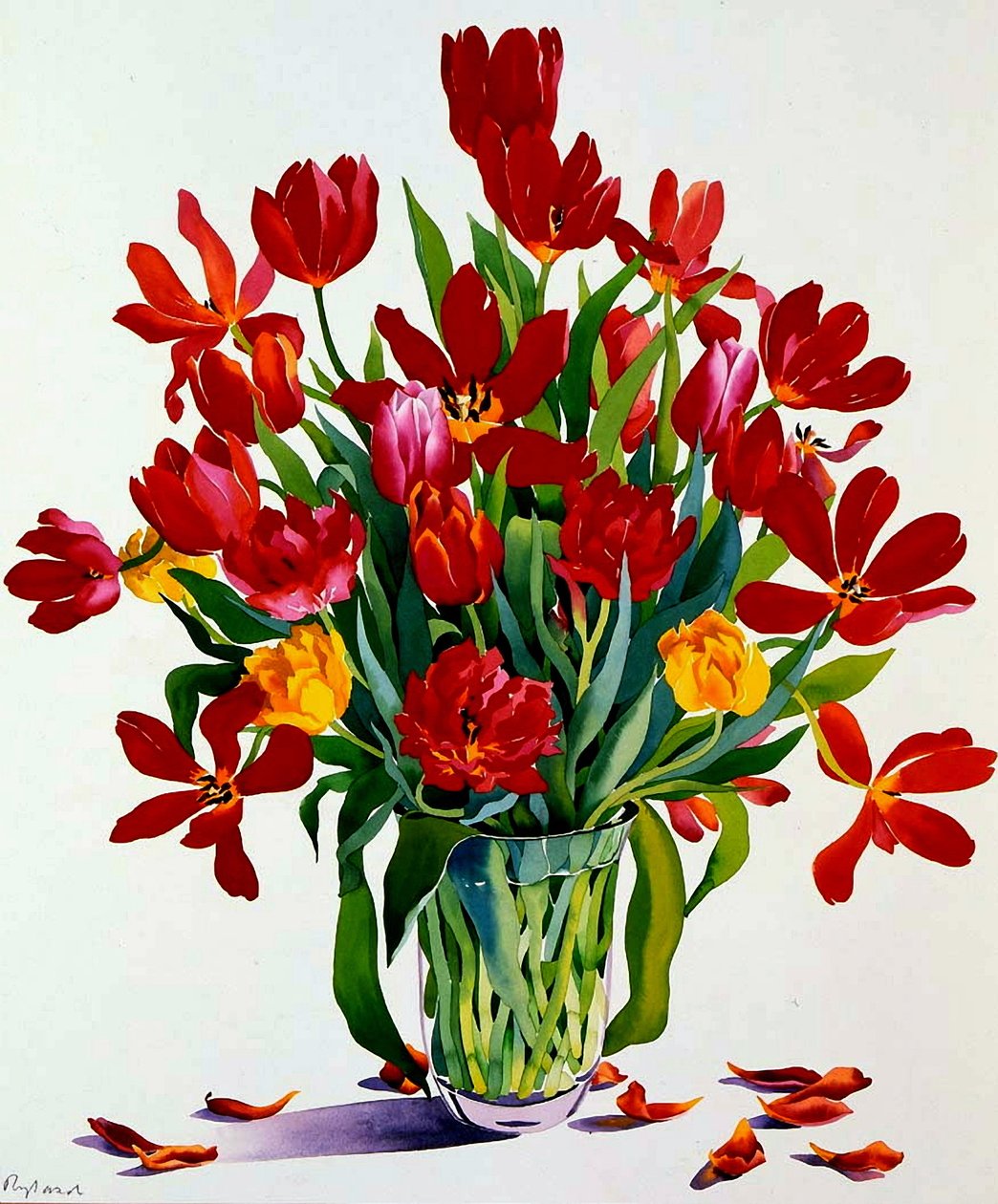 Tulipaner (wc på papir) av Christopher Ryland