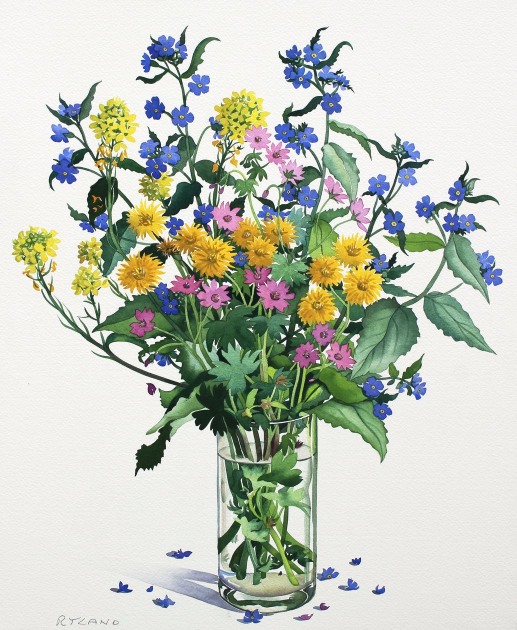 Ville blomster med Alkanet, 2021 (akvarell på papir) av Christopher Ryland