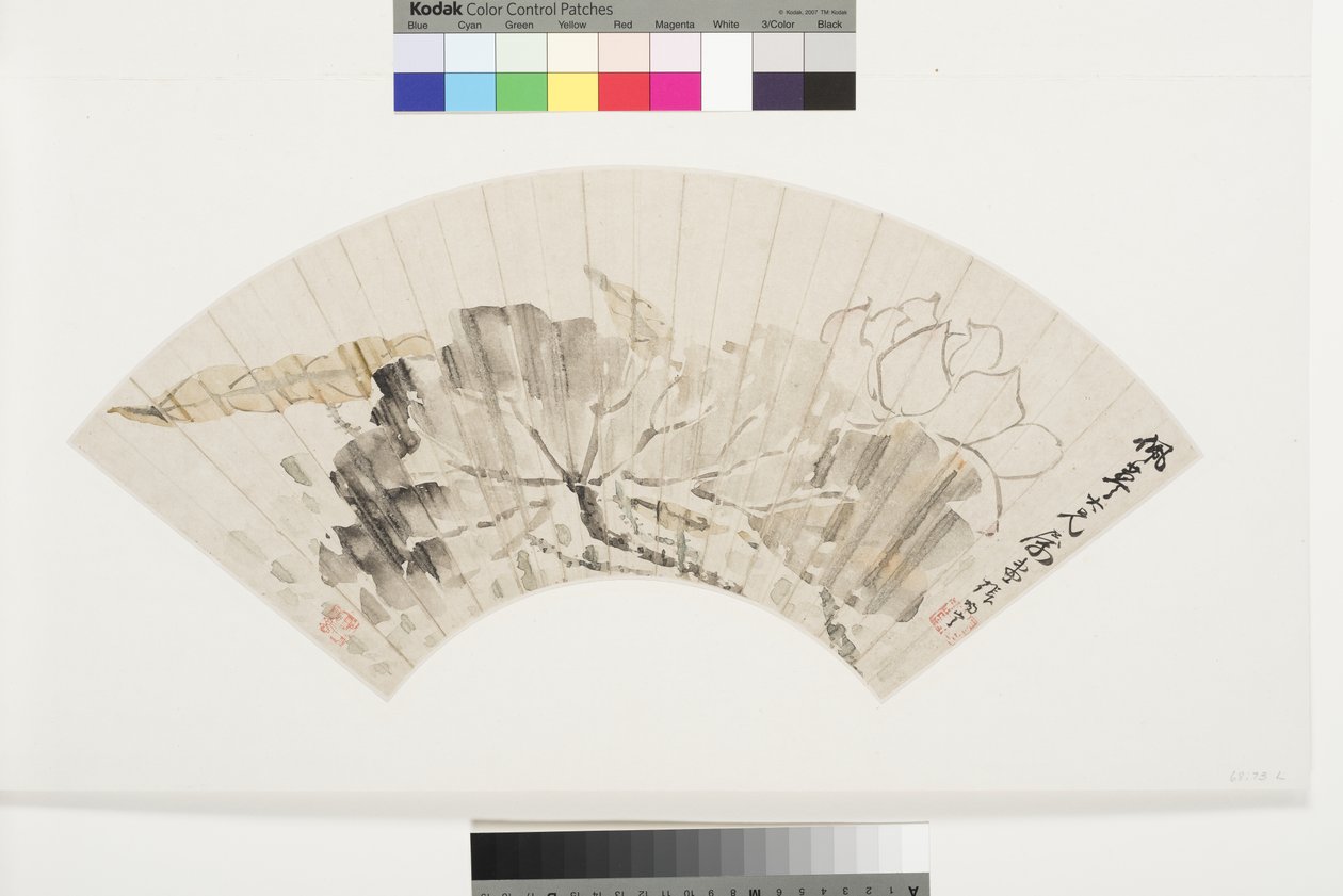 Lotus Blossom and Leaves, tidlig på 1800-tallet (blekk og lyse farger på glimmer-flekket papir montert om bord) av Cining Zhang