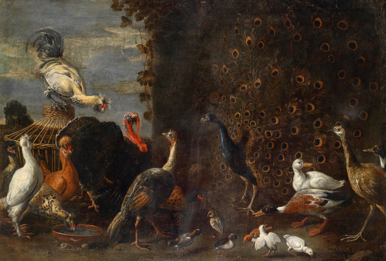 Kyllinggård med påfuglkalkun og ender av Circle of Adriaen van Utrecht
