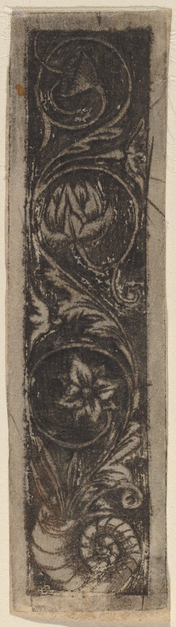 Avlangt ornamentpanel av Circle of Francesco Francia