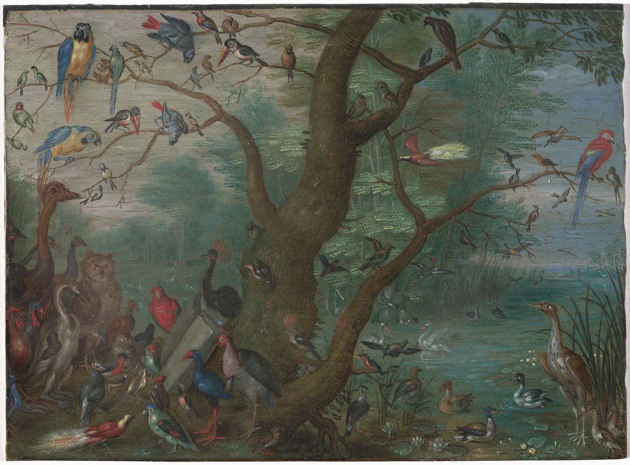 Konsert av fugler av Circle of Jan van Kessel the Elder