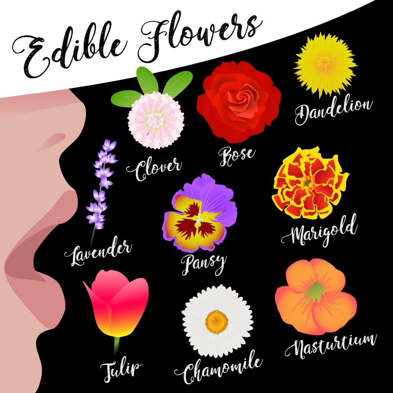 Spiselige blomster av Claire Huntley