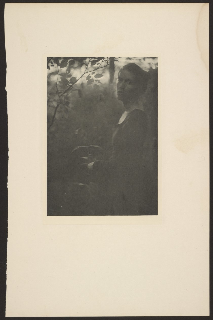  av Clarence H. White