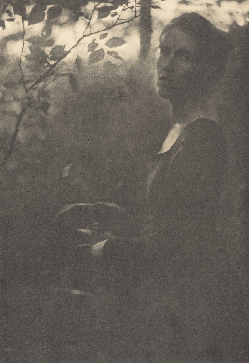 Edge of the Woods, kveld, 1900. av Clarence H White