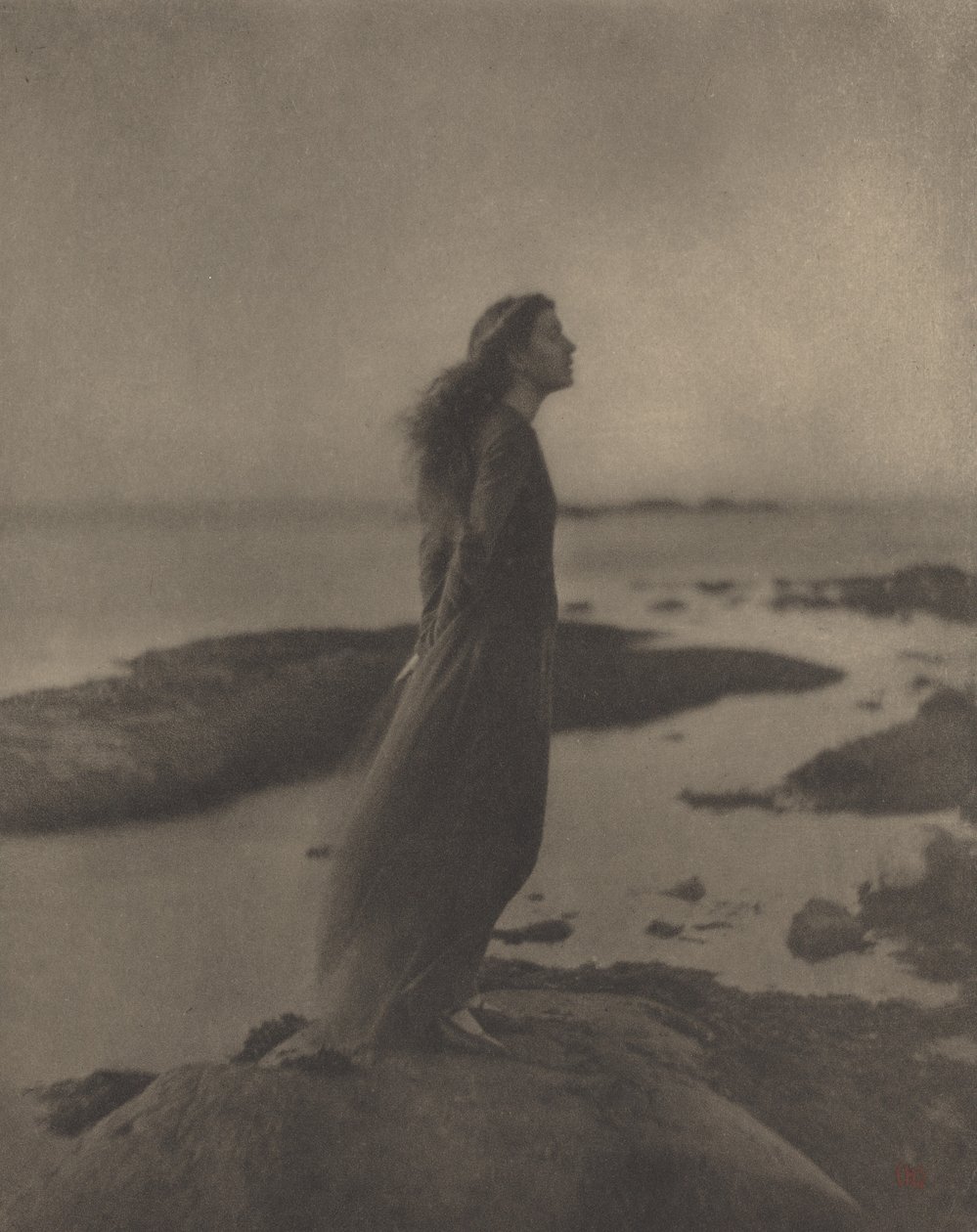 Rose pastor Stokes av Clarence H. White