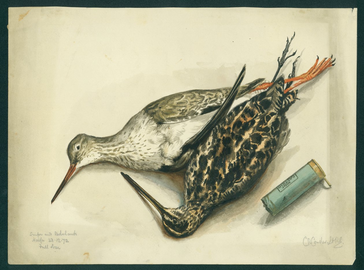 Snipe and Redshank, 1872 (wc og blyant på papir) av Claude Conder