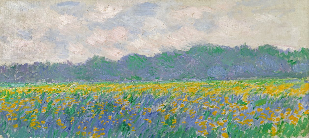 Felt med gule iris ved Giverny, 1887 av Claude Monet