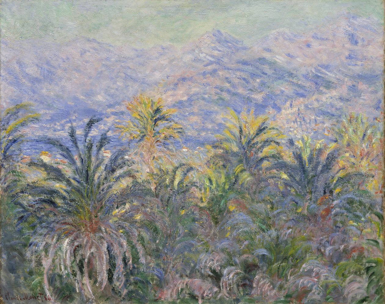 Palmer på Bordighera av Claude Monet