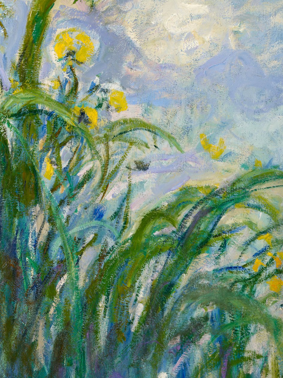 Den gule iris-detaljen av 154652 olje på lerret av Claude Monet