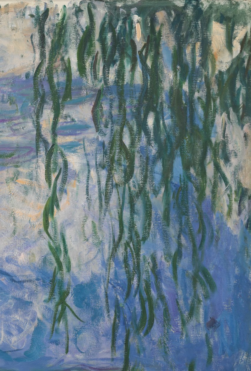 Vannliljer, 1916-19 olje på lerret detalj av 161015 av Claude Monet