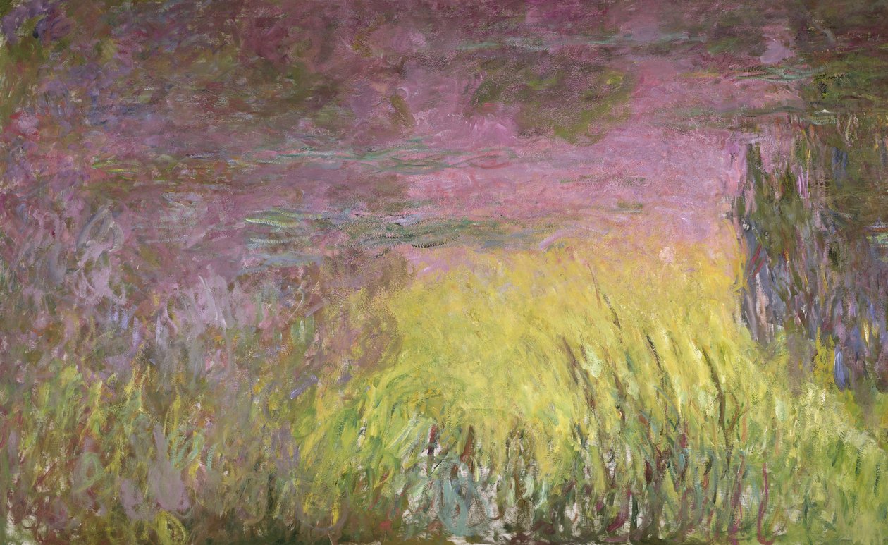 Vannliljer ved solnedgang, 1915-26 (detalj av venstre side) av Claude Monet