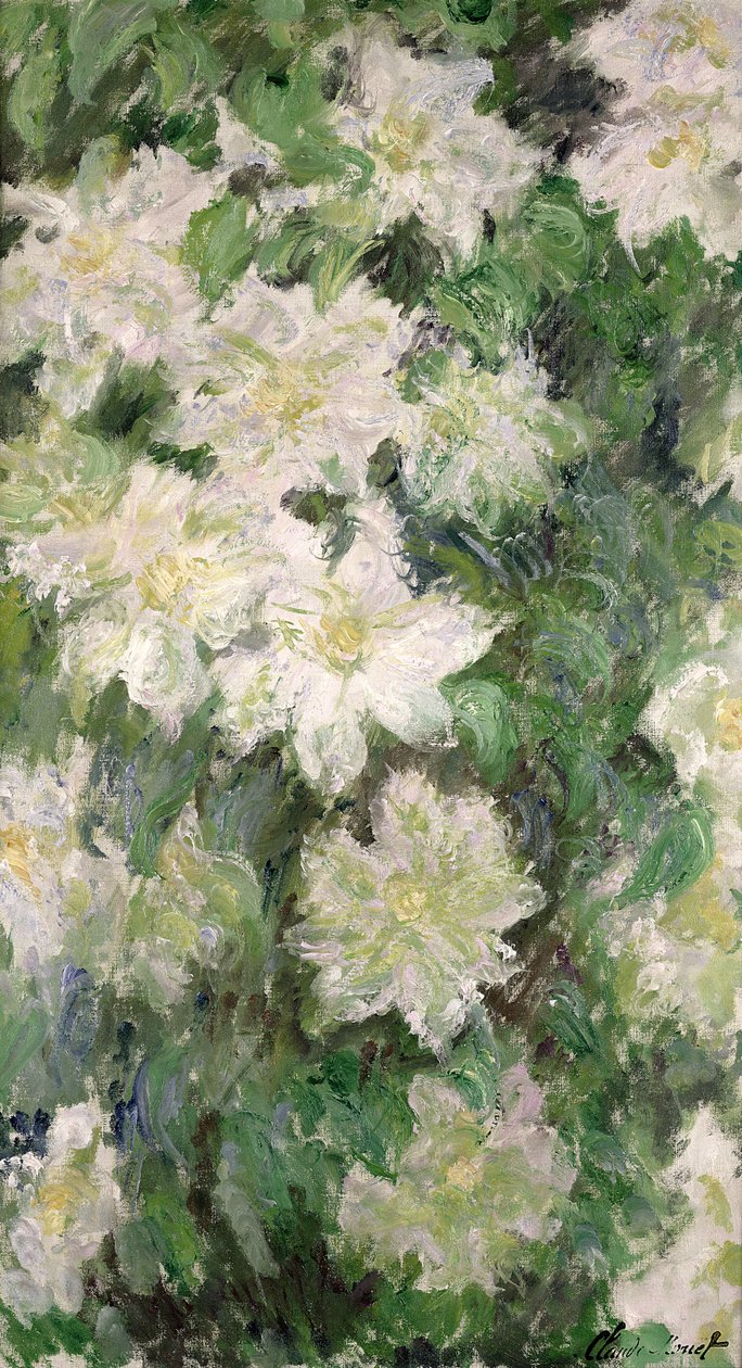 Hvit klematis, 1887 av Claude Monet