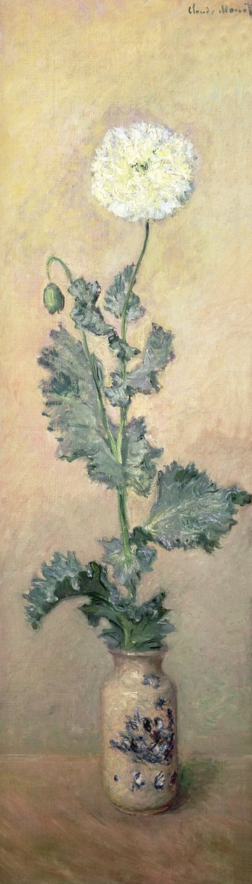 Hvit valmue, 1883 av Claude Monet
