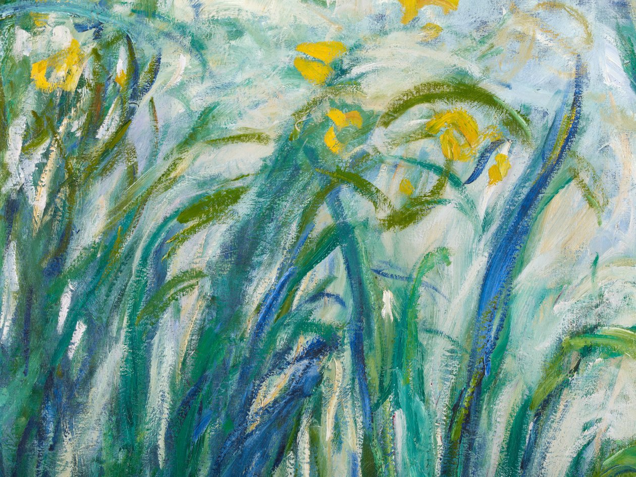 Gule og lilla iris, 1924-25 detalj av 169490 olje på lerret av Claude Monet