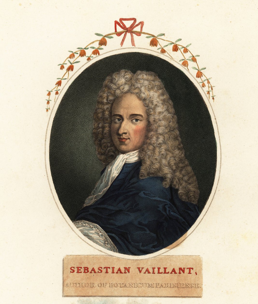 Portrett av Sebastian Vaillant, fransk botaniker av Claude Aubriet