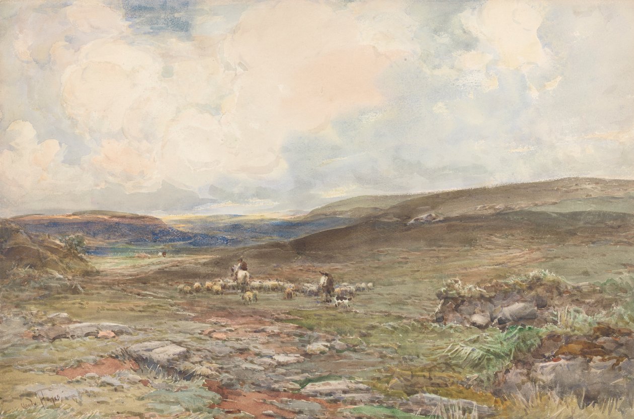 Myrland med sauer og gjeter av Claude Hayes