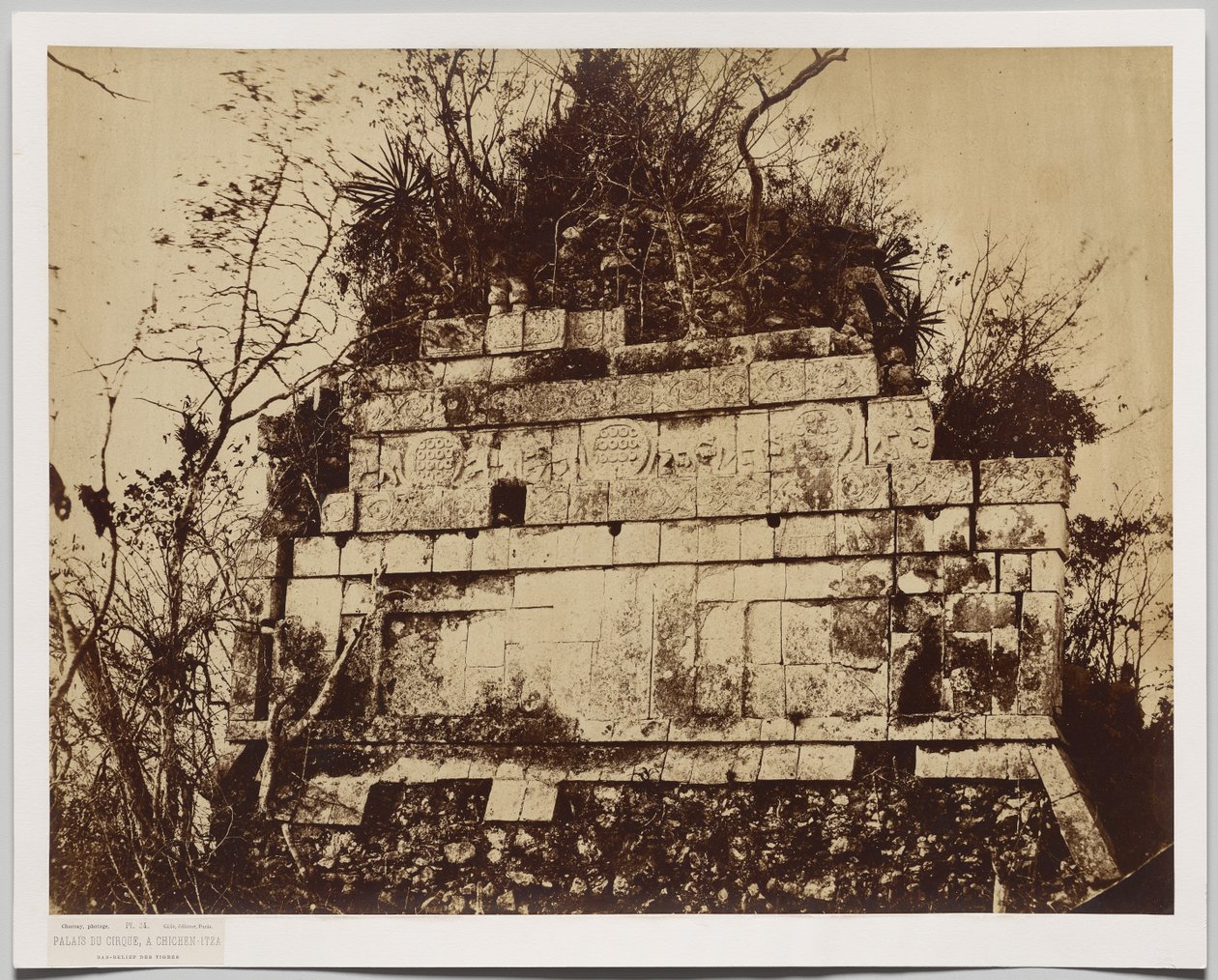 Sirkuspalasset i Chichen-Itza (basrelieff av tigre) av Claude Joseph Désiré Charnay