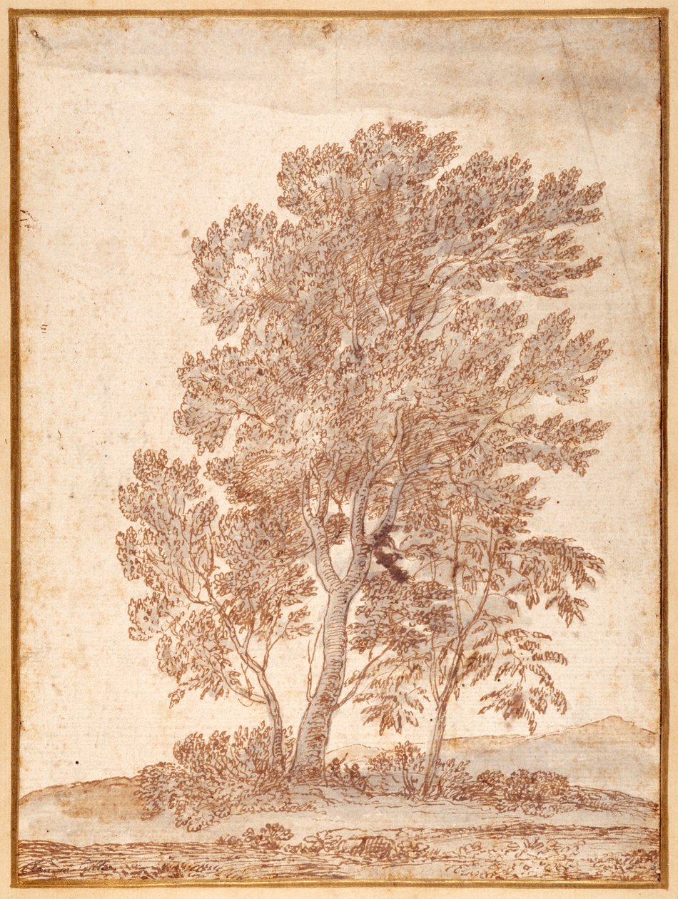 Tre trær (penn og brunt blekk med grå vask på papir) av Claude Lorrain