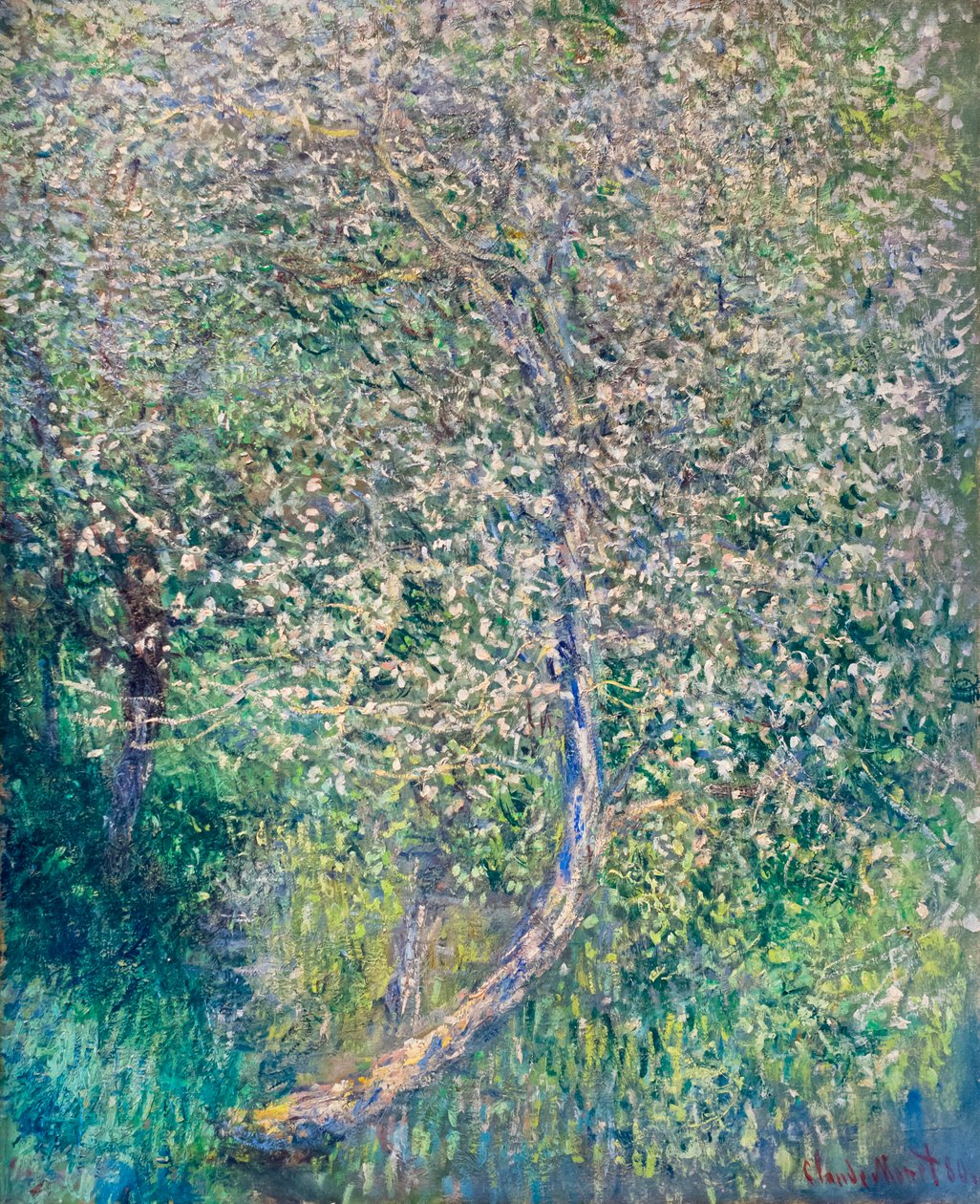 Epletrær i blomst ved vannkanten av Claude Monet