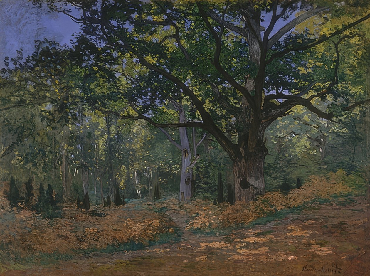 Bodmer eik i skogen i Fontainebleau. 1865 av Claude Monet