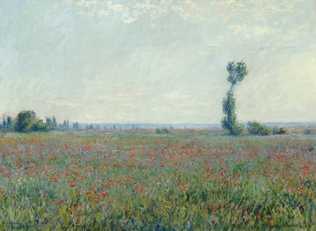 Et felt med valmuer av Claude Monet