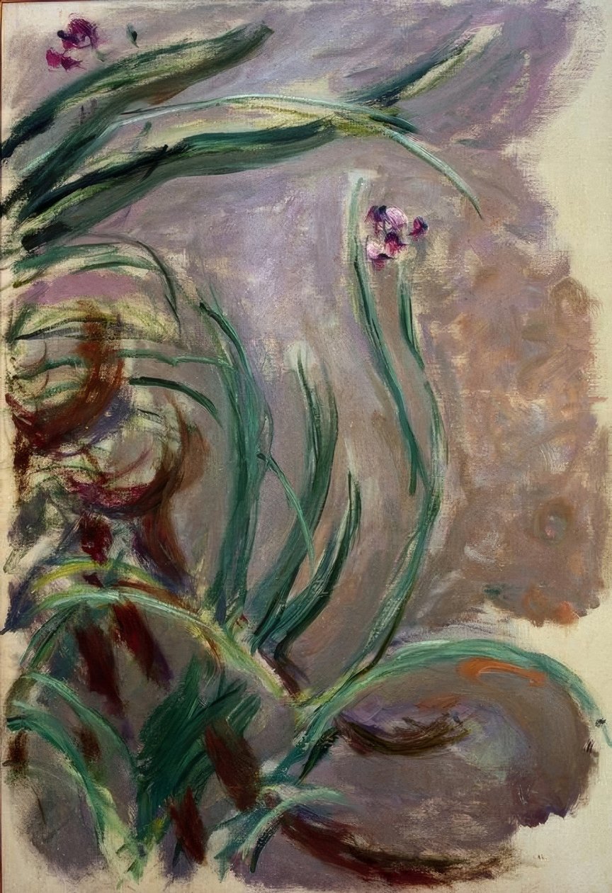 Iris (Iris) av Claude Monet