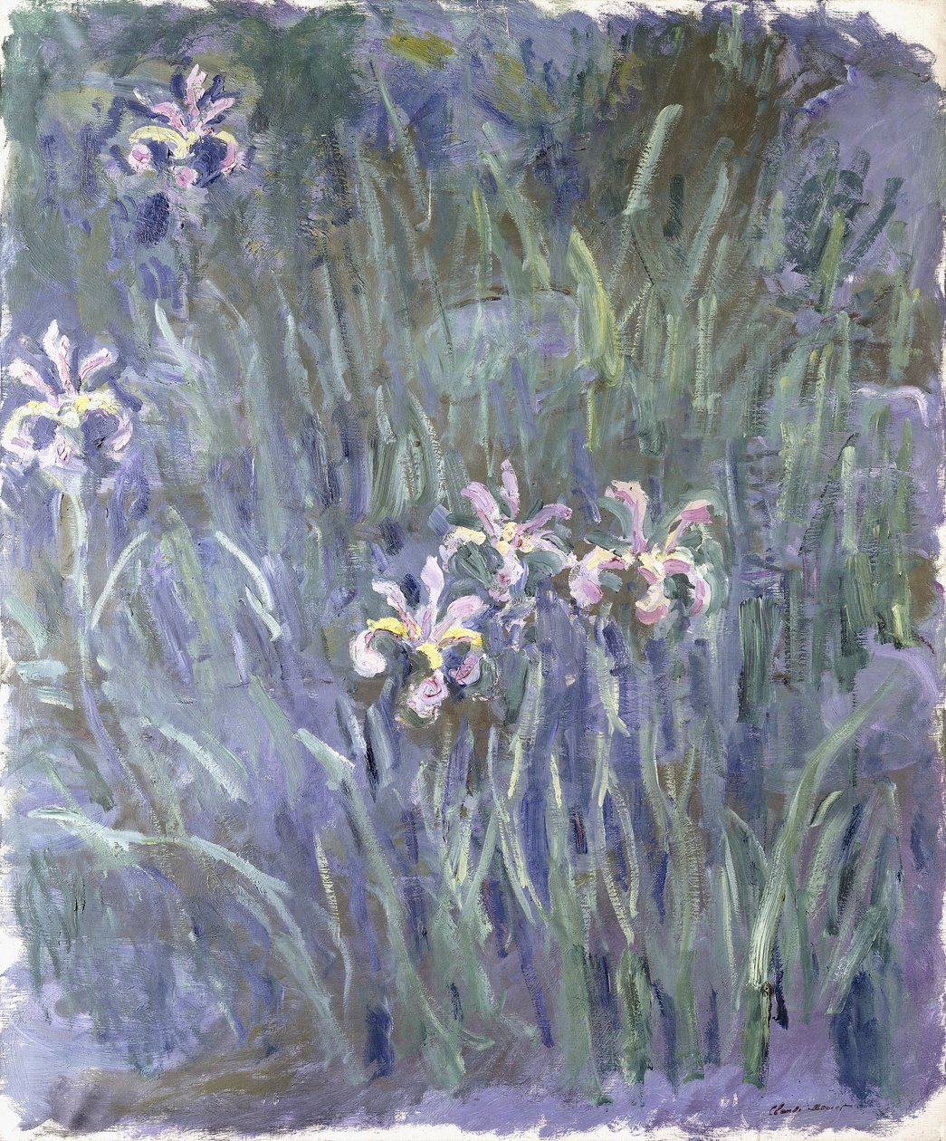 Iris, ca. 1914-1917 av Claude Monet