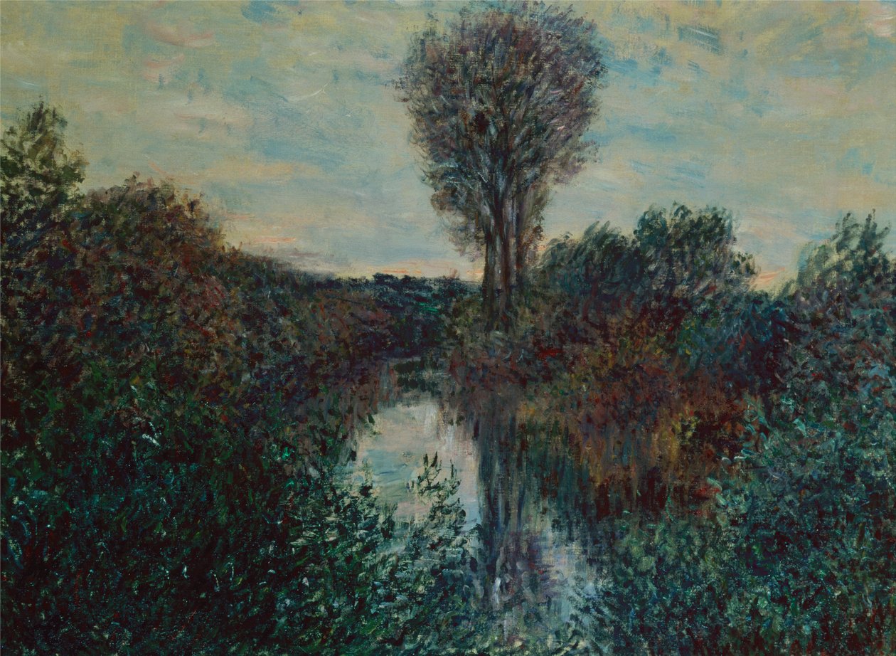 Liten gren av Seinen av Claude Monet