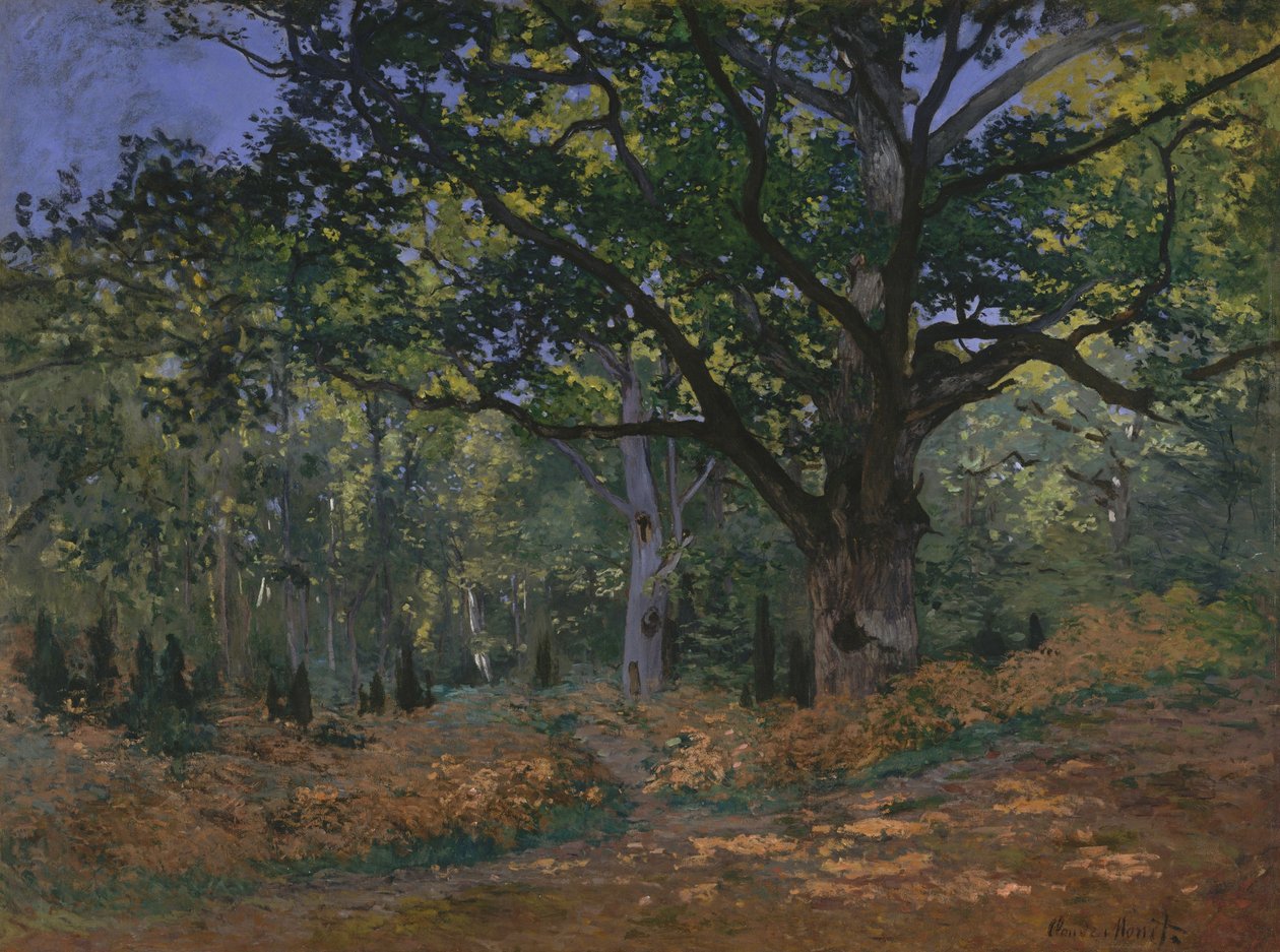 Bodmer-eiken, Fontainebleau-skogen av Claude Monet