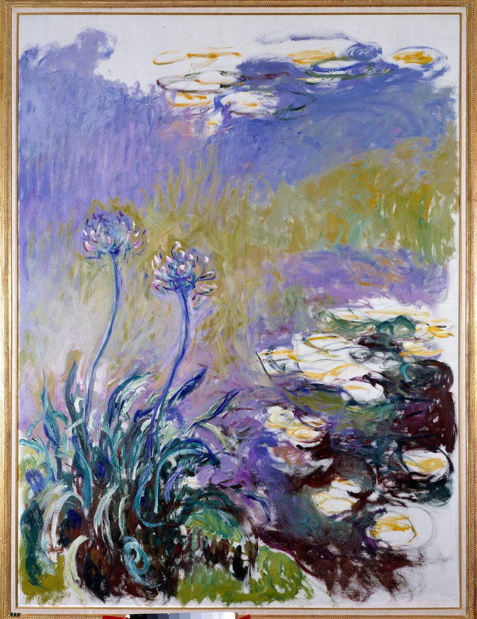 Agapantusen av Claude Monet