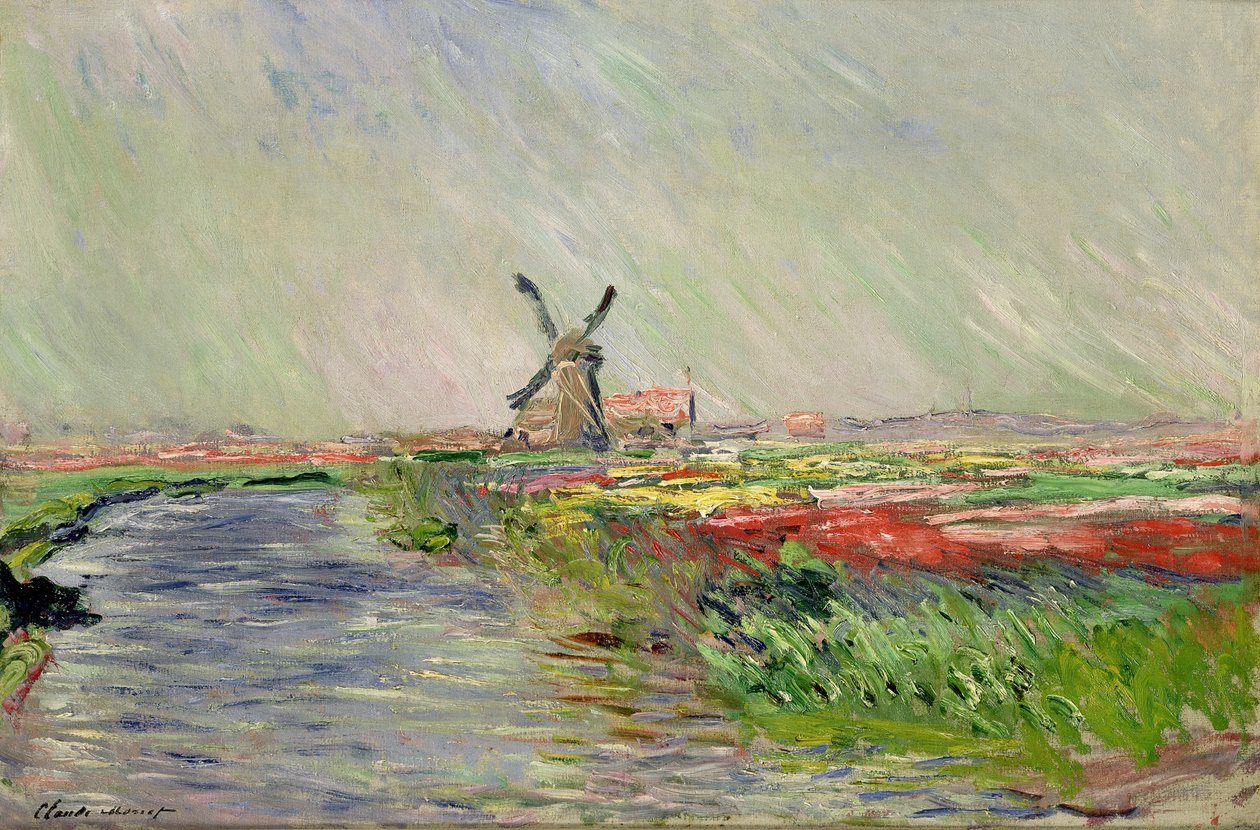 Tulip Field i Holland av Claude Monet