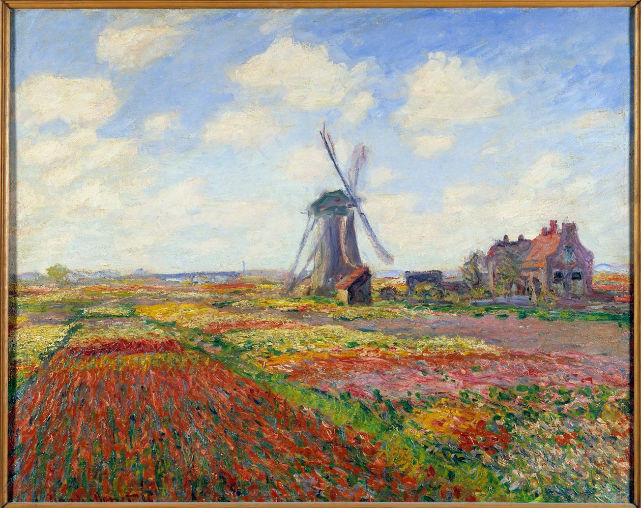 Tulip Fields i Holland (med en vindmølle) av Claude Monet