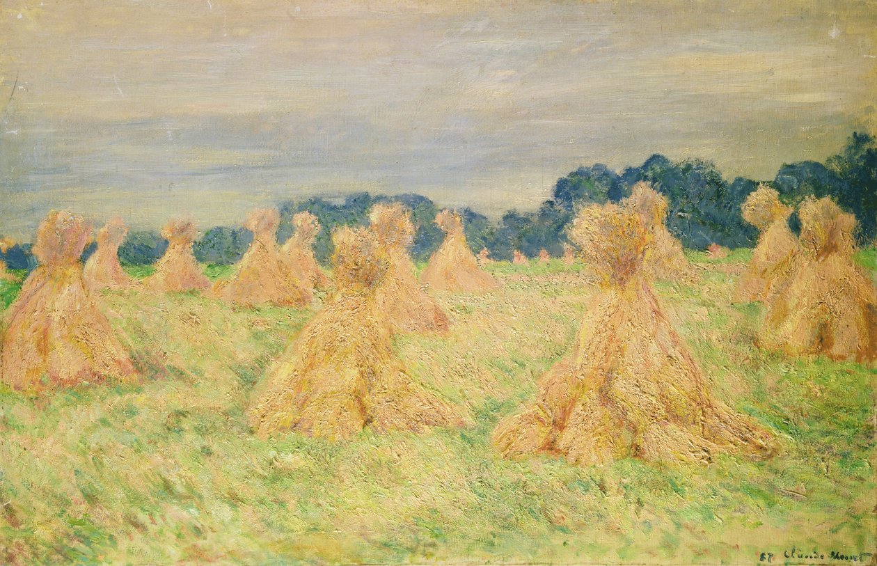 Ukjent bilde av Claude Monet