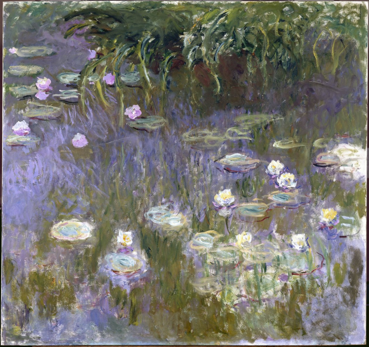 Vannliljer av Claude Monet