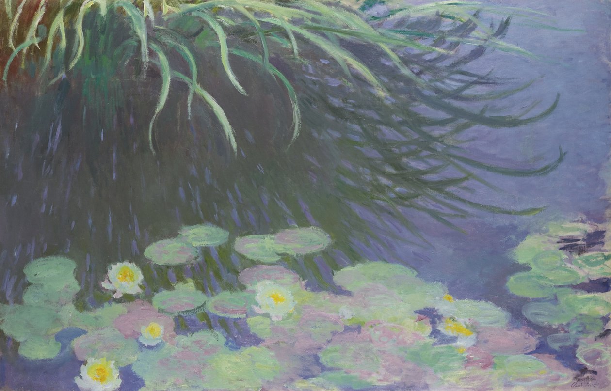 Vannliljer med refleksjoner av høyt gress, 1914-1917 av Claude Monet