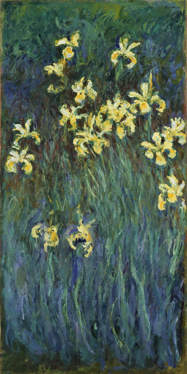 Gule iris, 1914-1917 av Claude Monet
