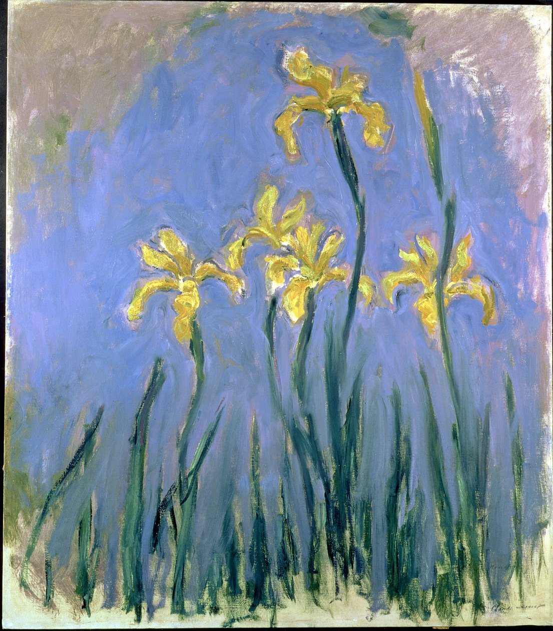 gule iris; Les Iris Jaunes, ca. 1918-1925 (olje på lerret) av Claude Monet