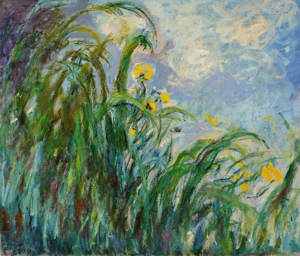 Gule iris, ca. 1925. av Claude Monet