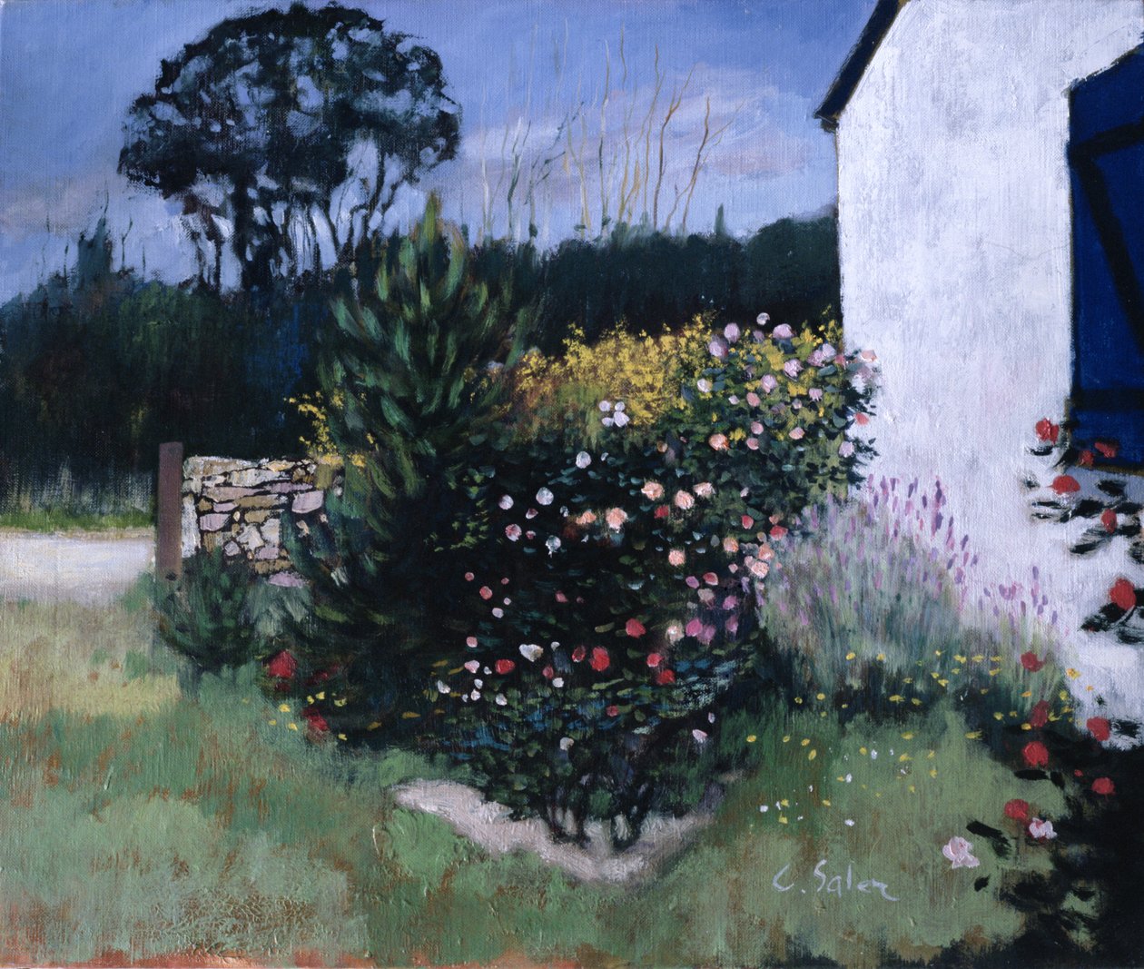 Rosebusken av Claude Salez