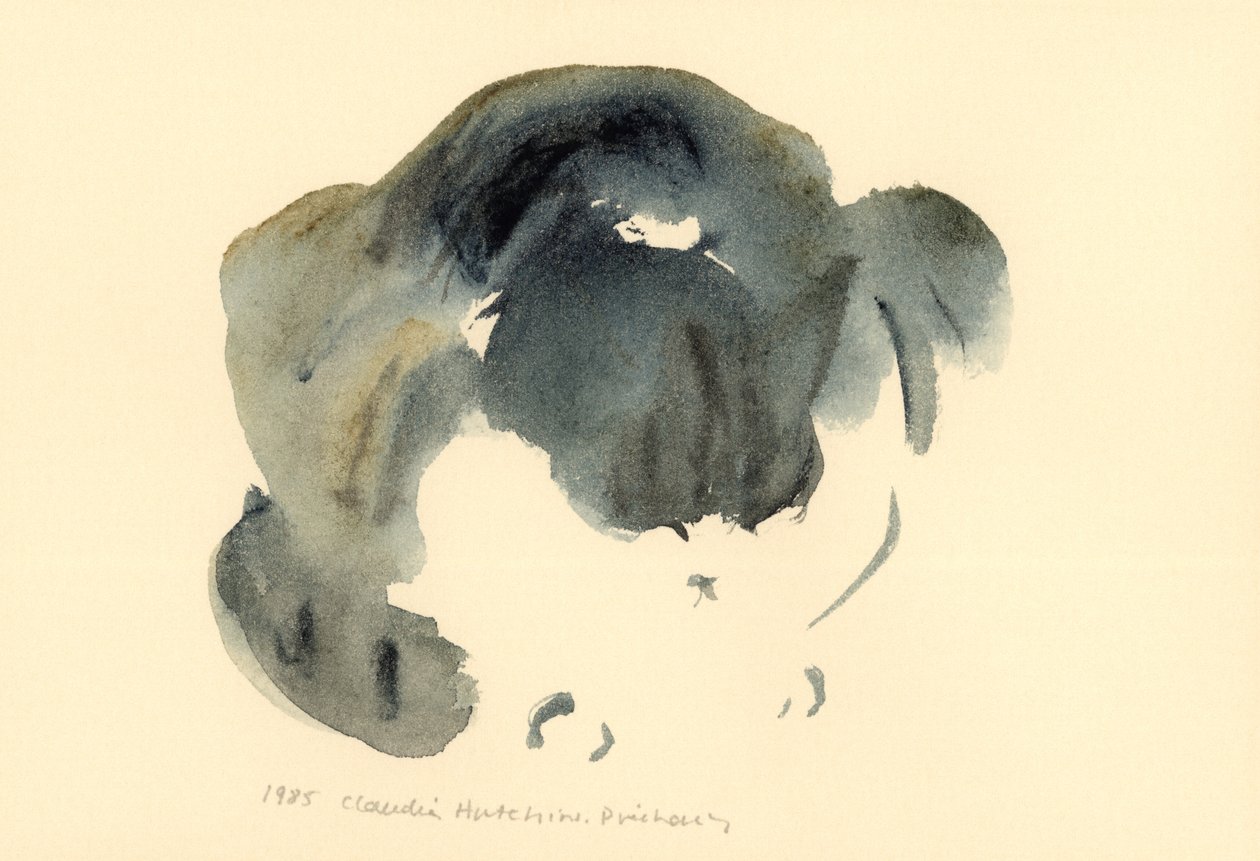 Cat, 1985 (akvarell) av Claudia Hutchins Puechavy