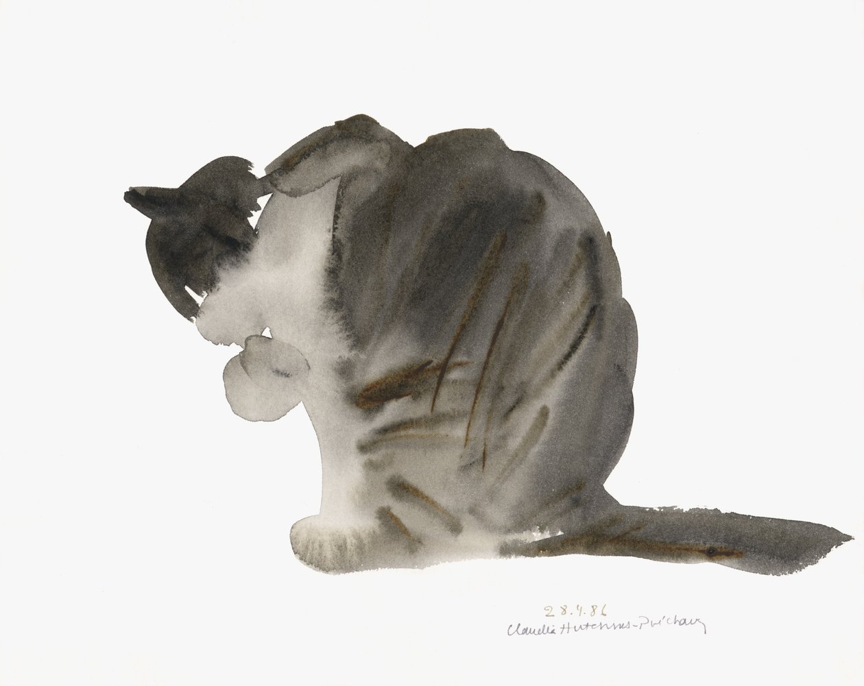 Cat, 1985 (akvarell) av Claudia Hutchins Puechavy