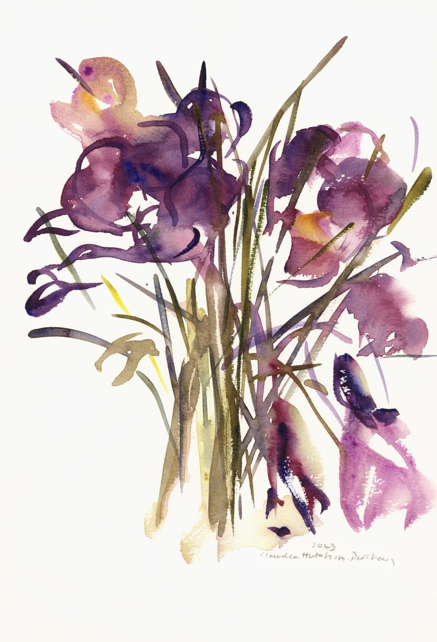 Krokus, 2003 (akvarell) av Claudia Hutchins Puechavy