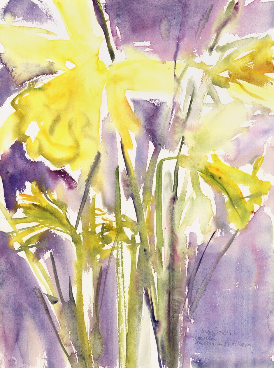 Påskeliljer, 2004 (akvarell) av Claudia Hutchins Puechavy