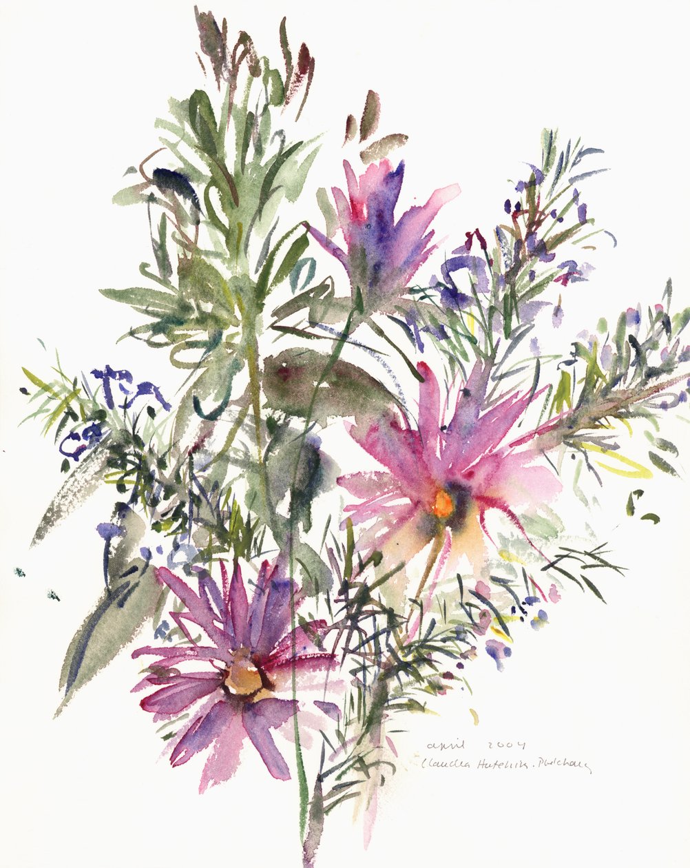 Blomster, sørafrikanske tusenfryd og lavendel, 2004 (akvarell) av Claudia Hutchins Puechavy