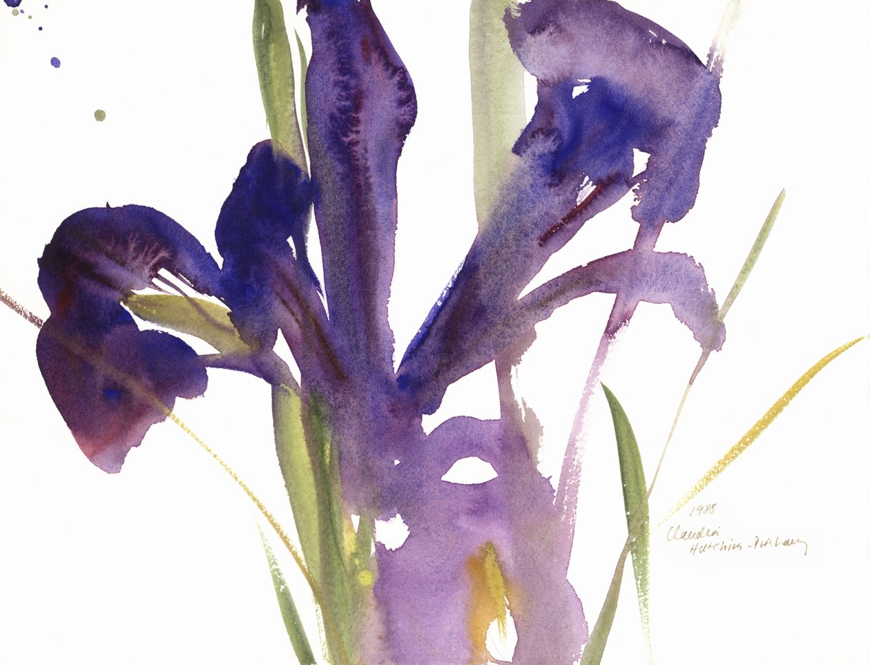 Iris, 1987 av Claudia Hutchins Puechavy