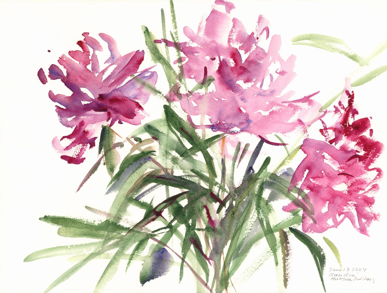 Peonies, 2004 (akvarell) av Claudia Hutchins Puechavy