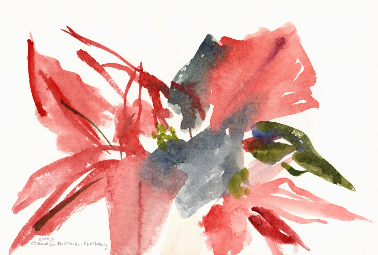 Julestjerne, 2003 av Claudia Hutchins Puechavy