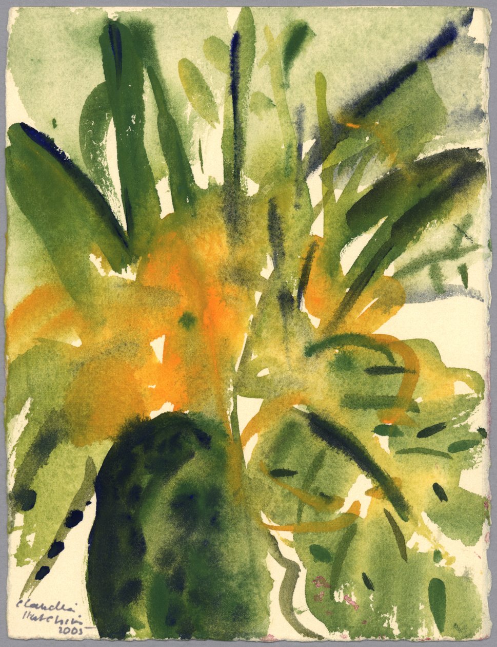 Primroses, 2005 (akvarell) av Claudia Hutchins Puechavy