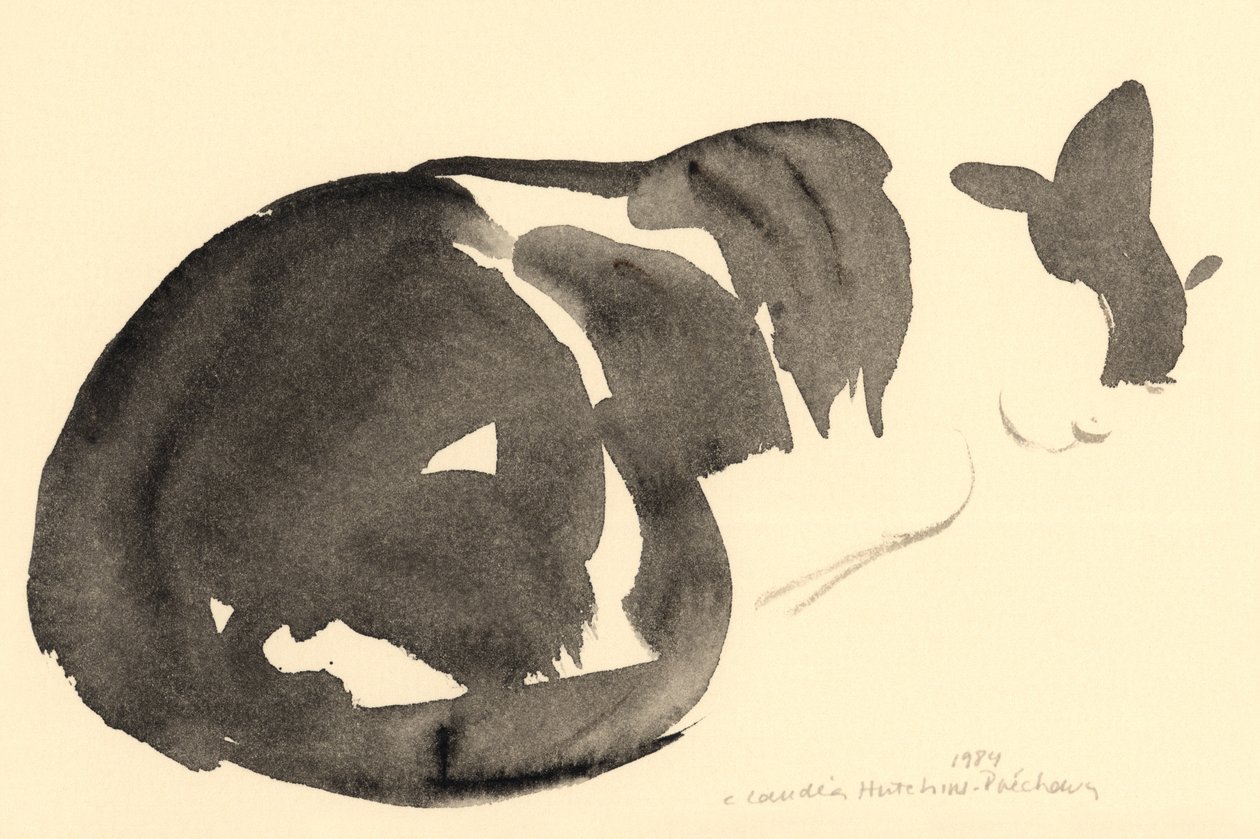 Sovende katt, 1984 (akvarell) av Claudia Hutchins Puechavy